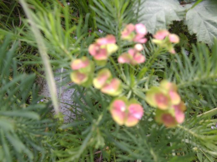 P1050119