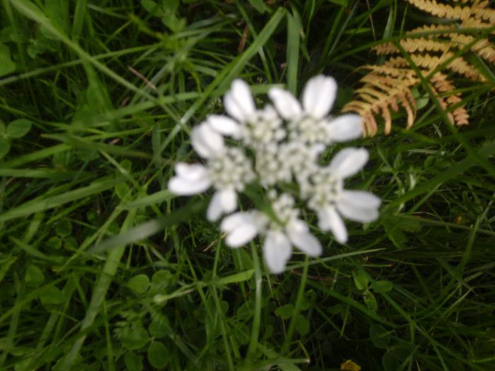 P1050106