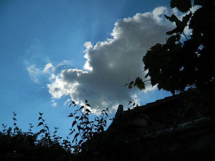 DSCN4148