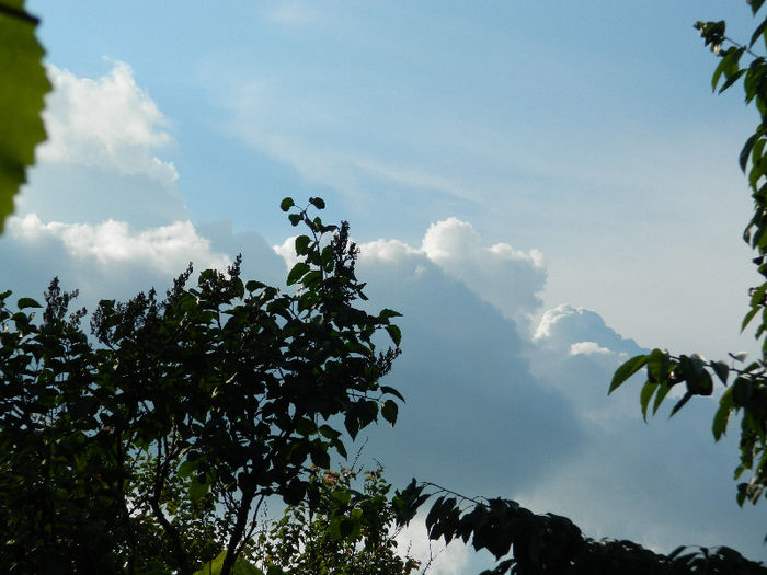 DSCN4168
