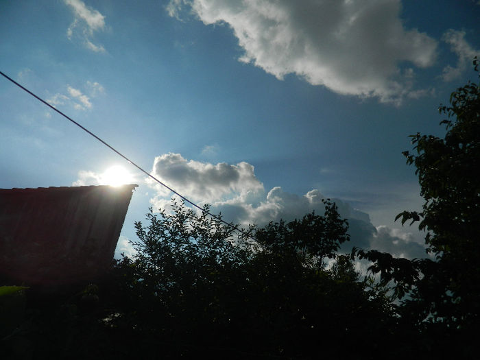 DSCN4176