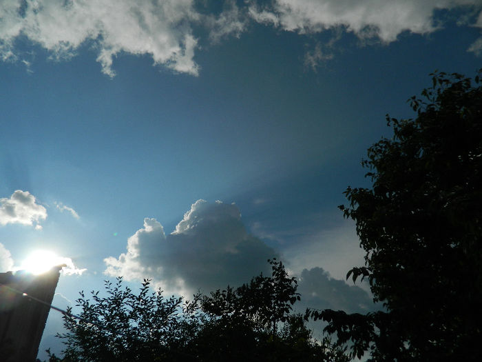 DSCN4196