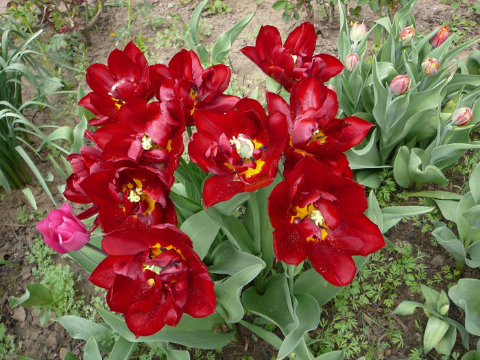 P1200784