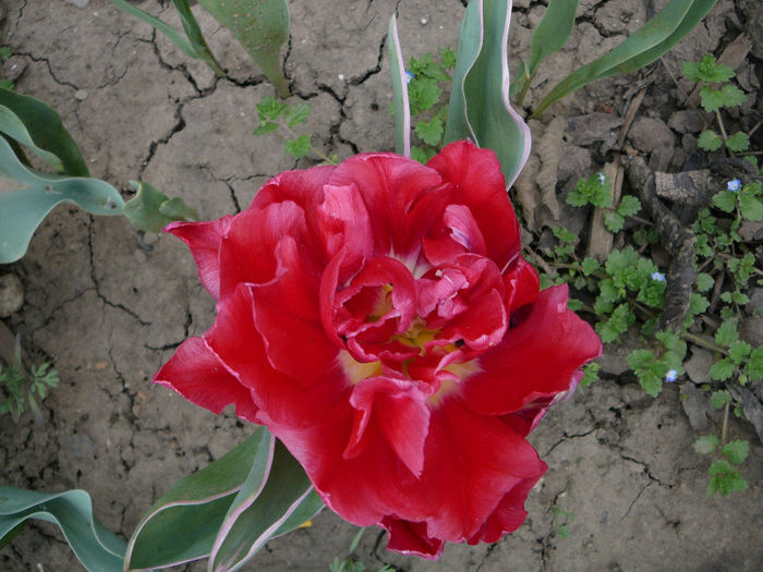 P1200787