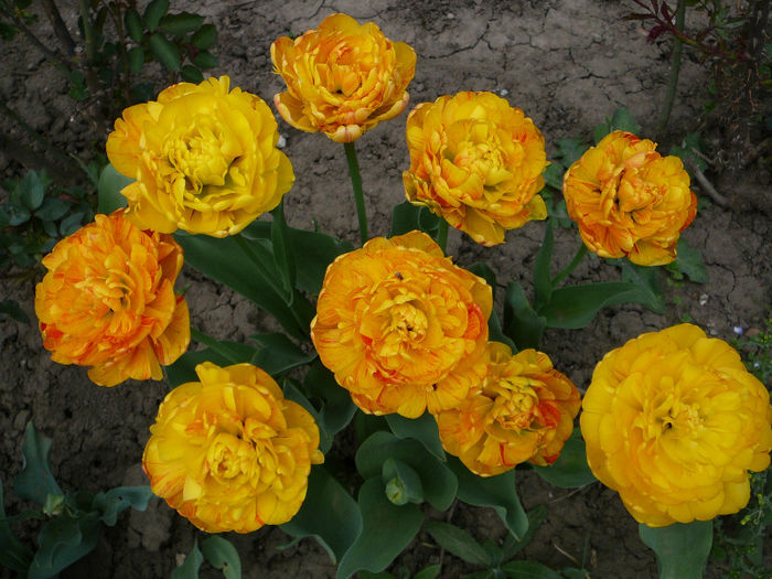 P1200791