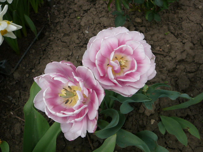 P1200792