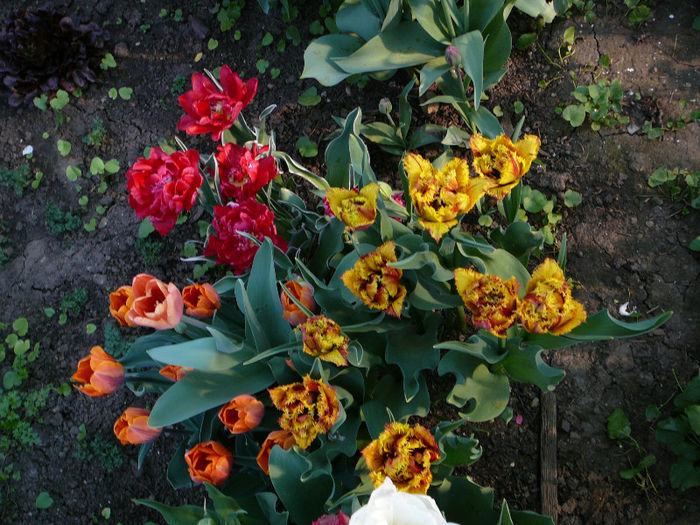 P1200812