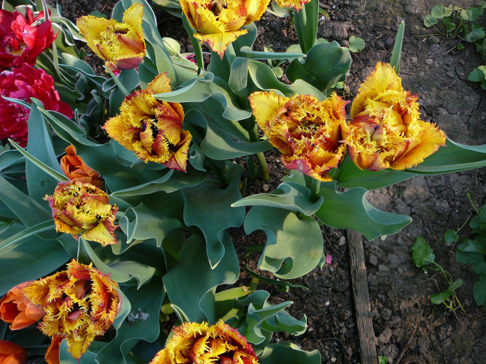 P1200813