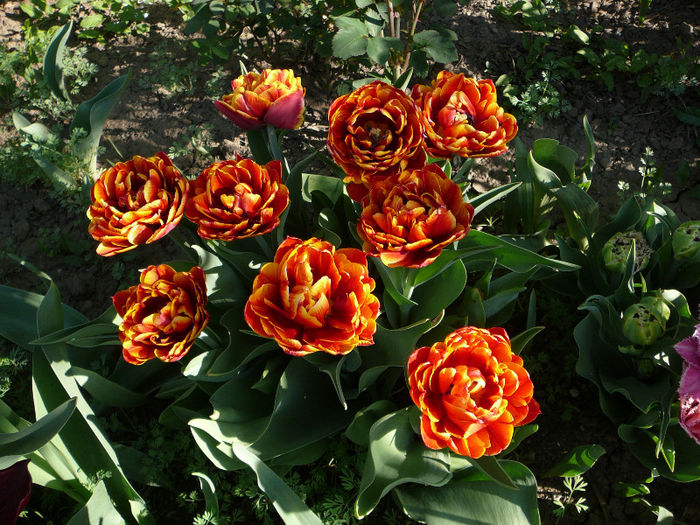 P1200820
