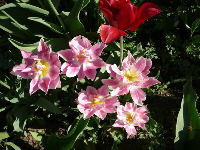 P1200821
