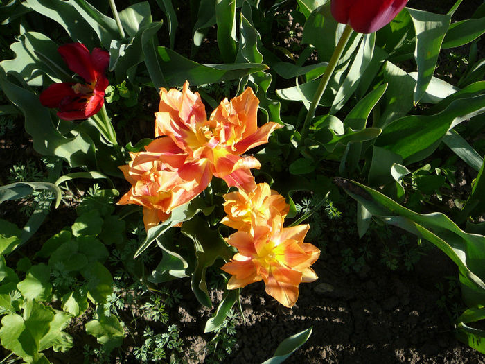 P1200822
