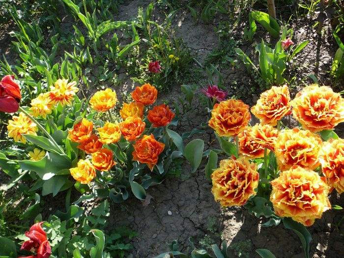 P1200824