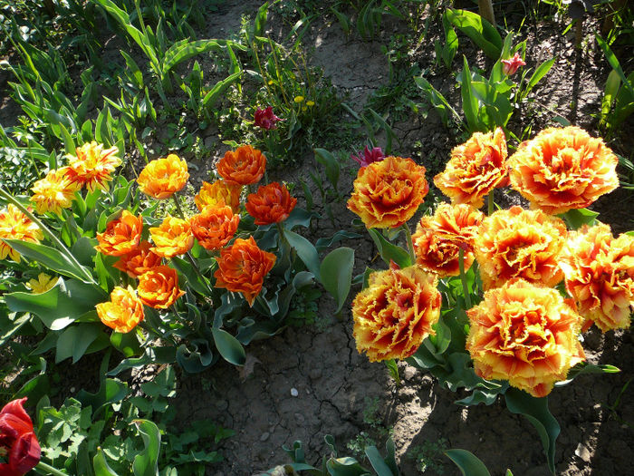 P1200836
