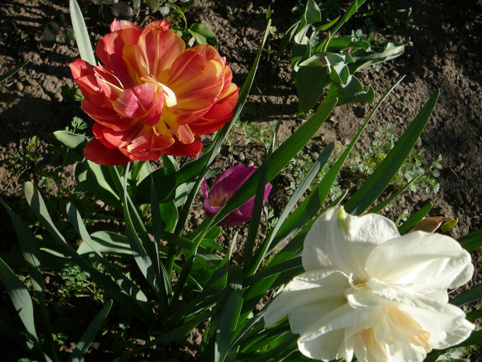P1200837