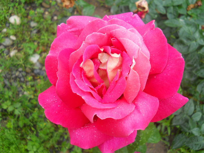 DSCN5822
