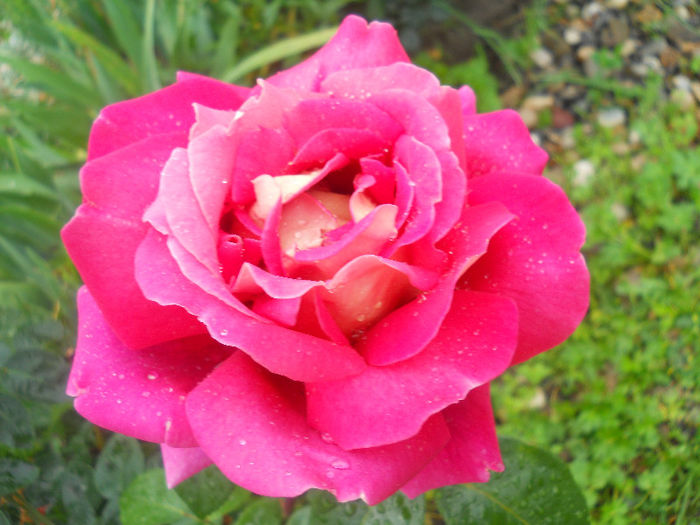 DSCN5823