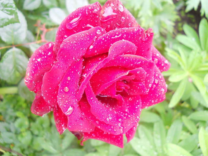 DSCN5858