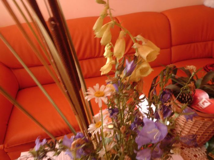 flori de camp puse in vaza