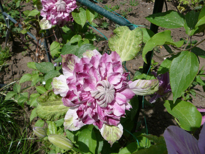 P1210172