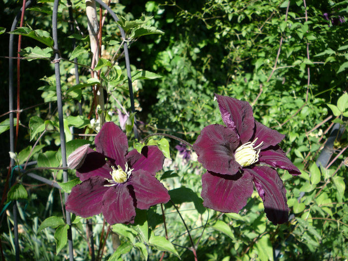 P1210268
