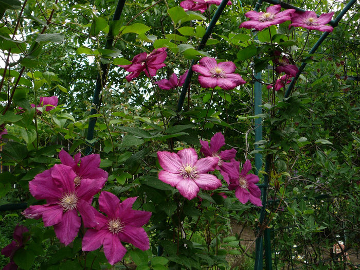 P1210469