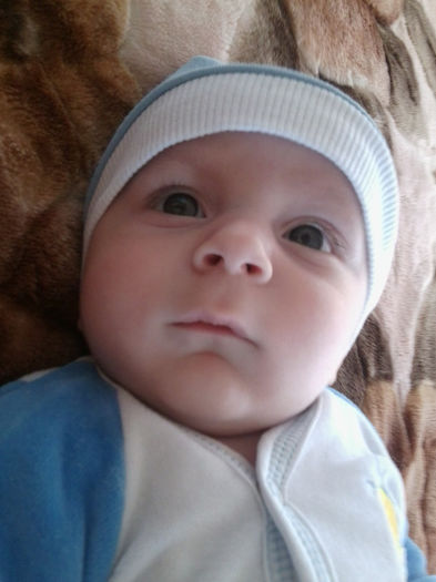 Fotografie2733 - hibiscusi 2013-1