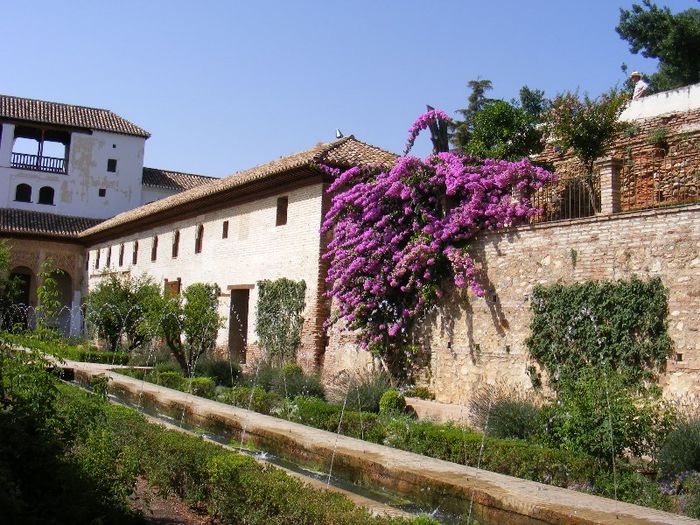 Alhambra 5 - GRANADA