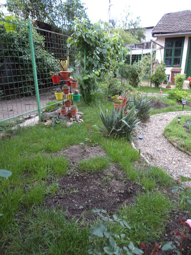 Parte din gradina