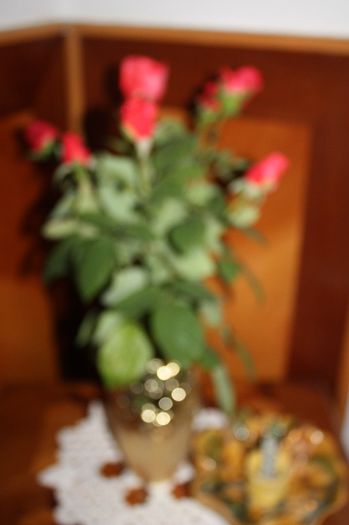 IMG_9549 - Iunie