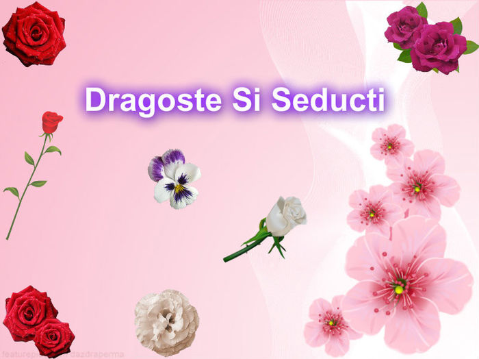 Dragoste Si  Seducti-Sezon1