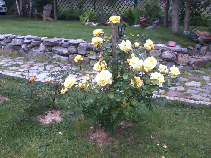 2013-06-13 18.55.41 - X-FLORI