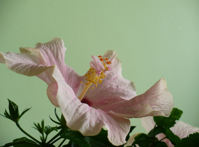 P1440969