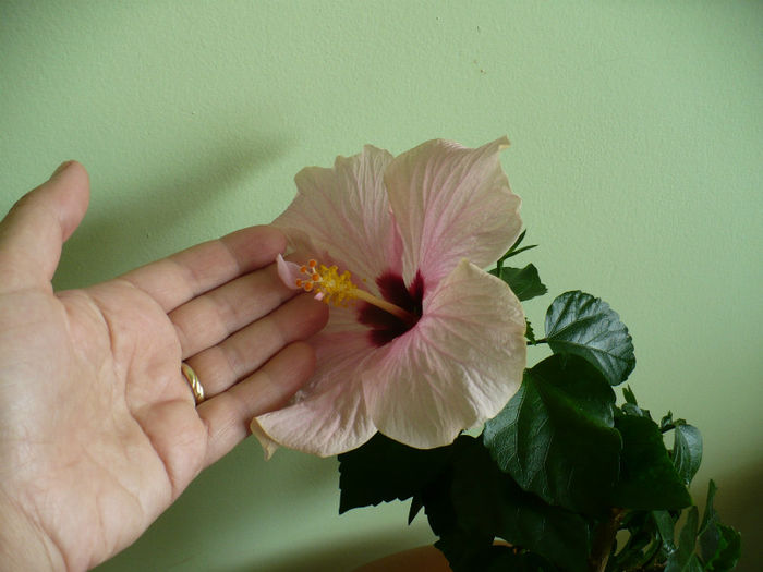 P1440978