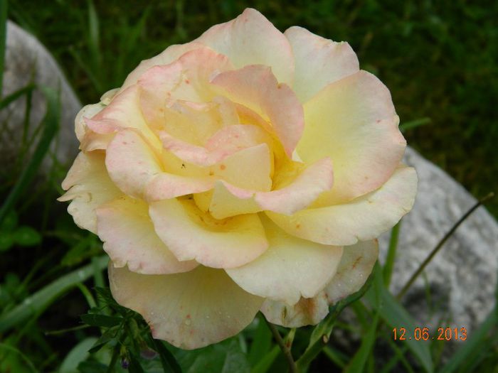 068