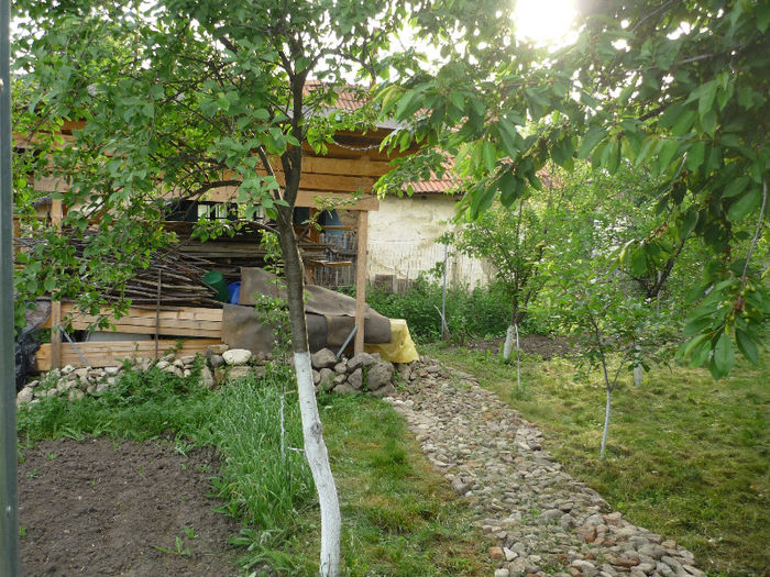 10.06.2013 - Vara