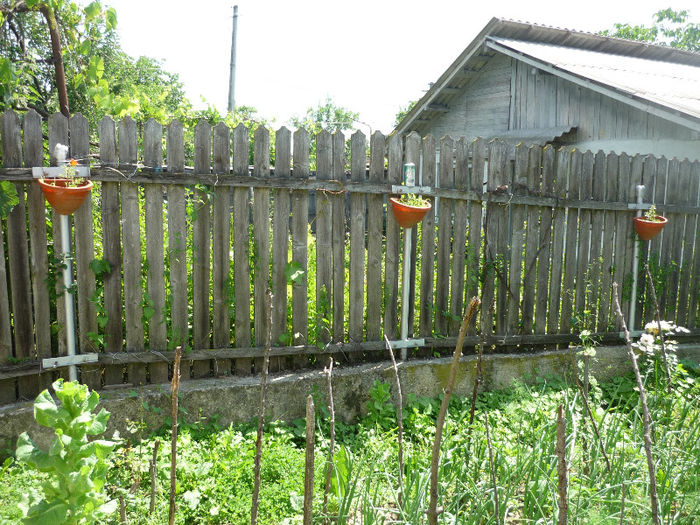 10.06.2013 - Vara