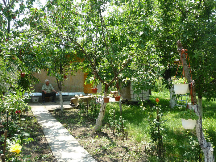 10.06.2013 - Vara