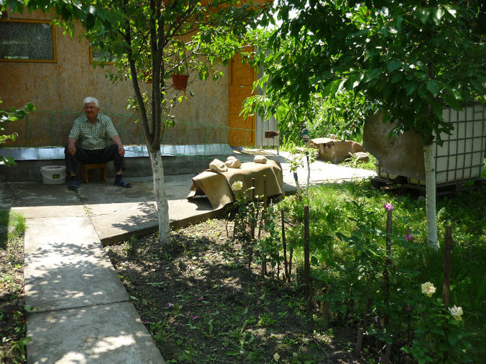 10.06.2013 - Vara