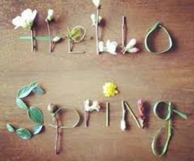 HELLO SPRING! - friends