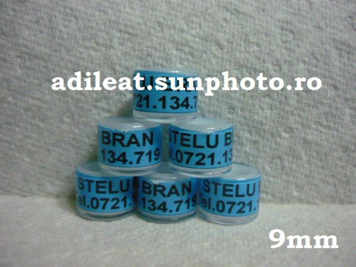 www.adileat.sunphoto.ro - 1-A-INELE PERSONALIZATE 2013