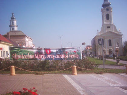 Sannicolau-Mare-ors-curat-si-verde