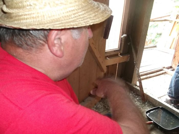 Prof.Leonida Stefanescu, fermierul