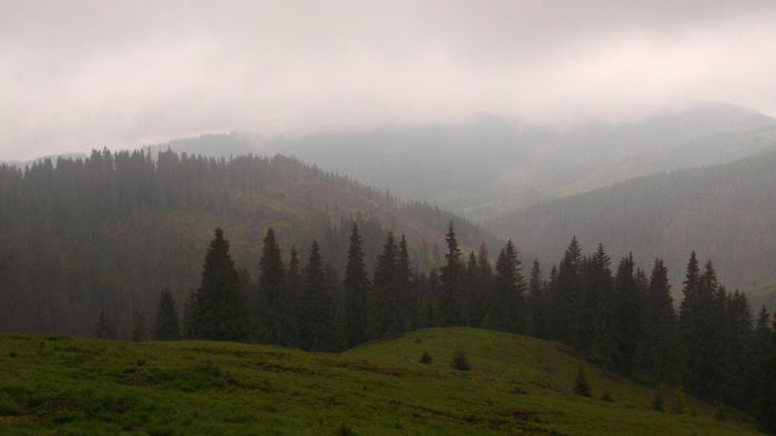 DSCF2240