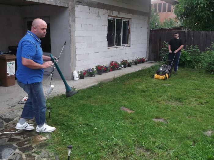 la coafor cu......... iarba - FERMA ANDRE  SI  NIK PUIUT