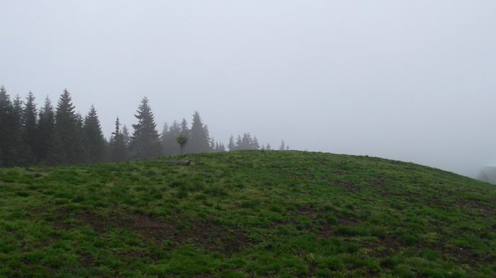 DSCF2385