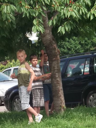 .....HOTI LA DRUMUL MARE