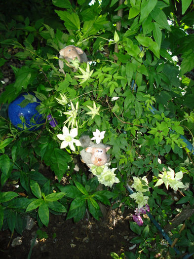 DSC09151