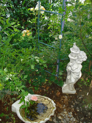 DSC09174