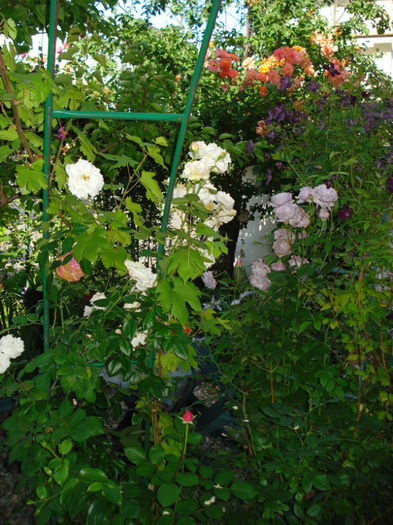 DSC09195