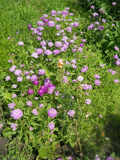 DSCN4438 - A28 a VARA 2013